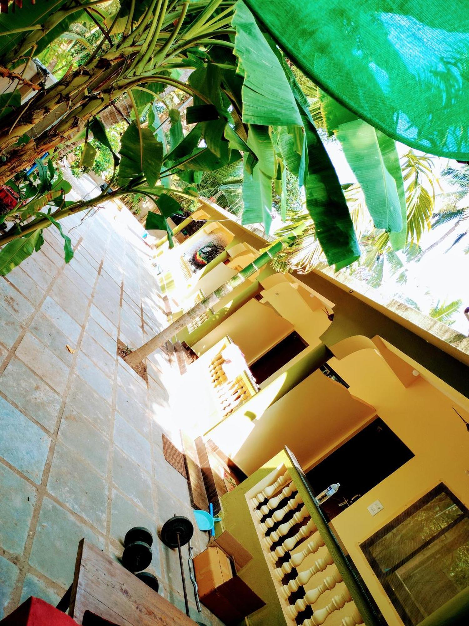 One Love Guest House Morjim Dış mekan fotoğraf